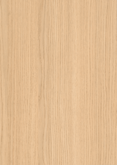 PAL Melaminat EGGER, Stejar Vicenza Decolorat, H3152 ST19 | Holver